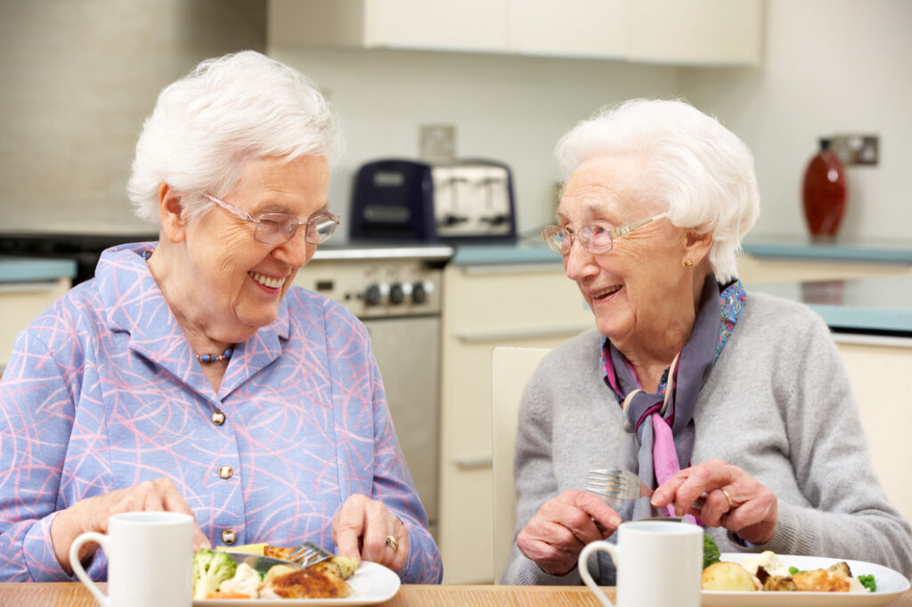 Senior women enjoying a meal together at Vista Prairie at Eagle Pointe senior living community in St. Francis, MN, showcasing friendly social interaction and comfortable dining environment.